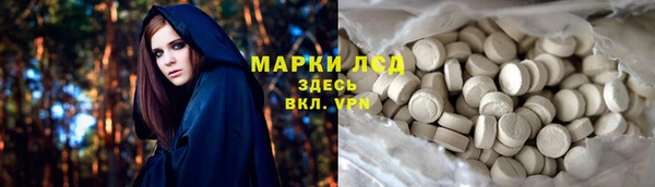 молекула духа Вязьма
