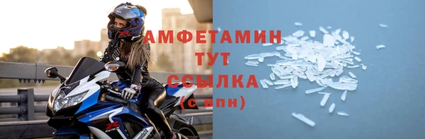 молекула духа Вязьма