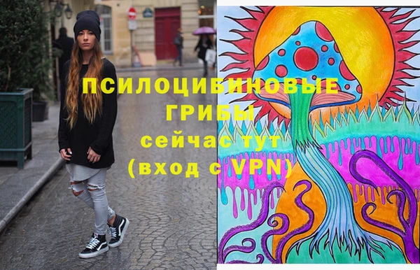 молекула духа Вязьма