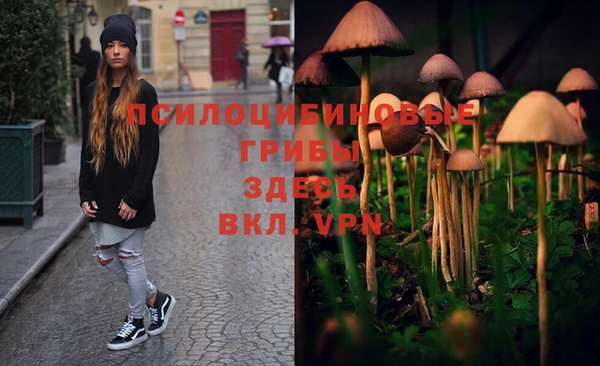 молекула духа Вязьма