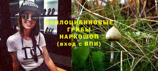 стафф Вязники
