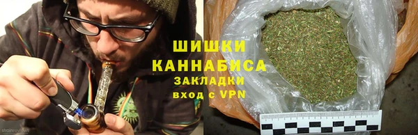 молекула духа Вязьма