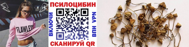 где найти наркотики  Очёр  кракен зеркало  Галлюциногенные грибы прущие грибы 